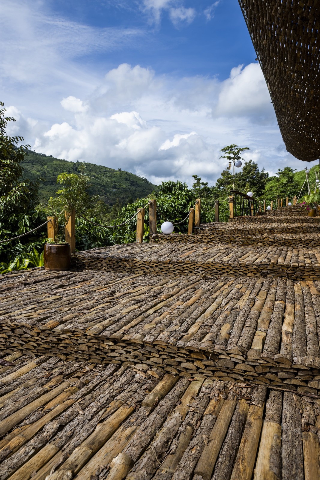 BIM建筑|隐隐看向天空，阮氏咖啡 / The Bloom