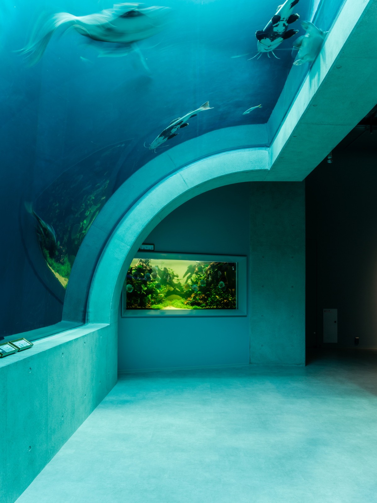 BIM建筑|神户港博物馆，海砂混凝土 / 大成建设