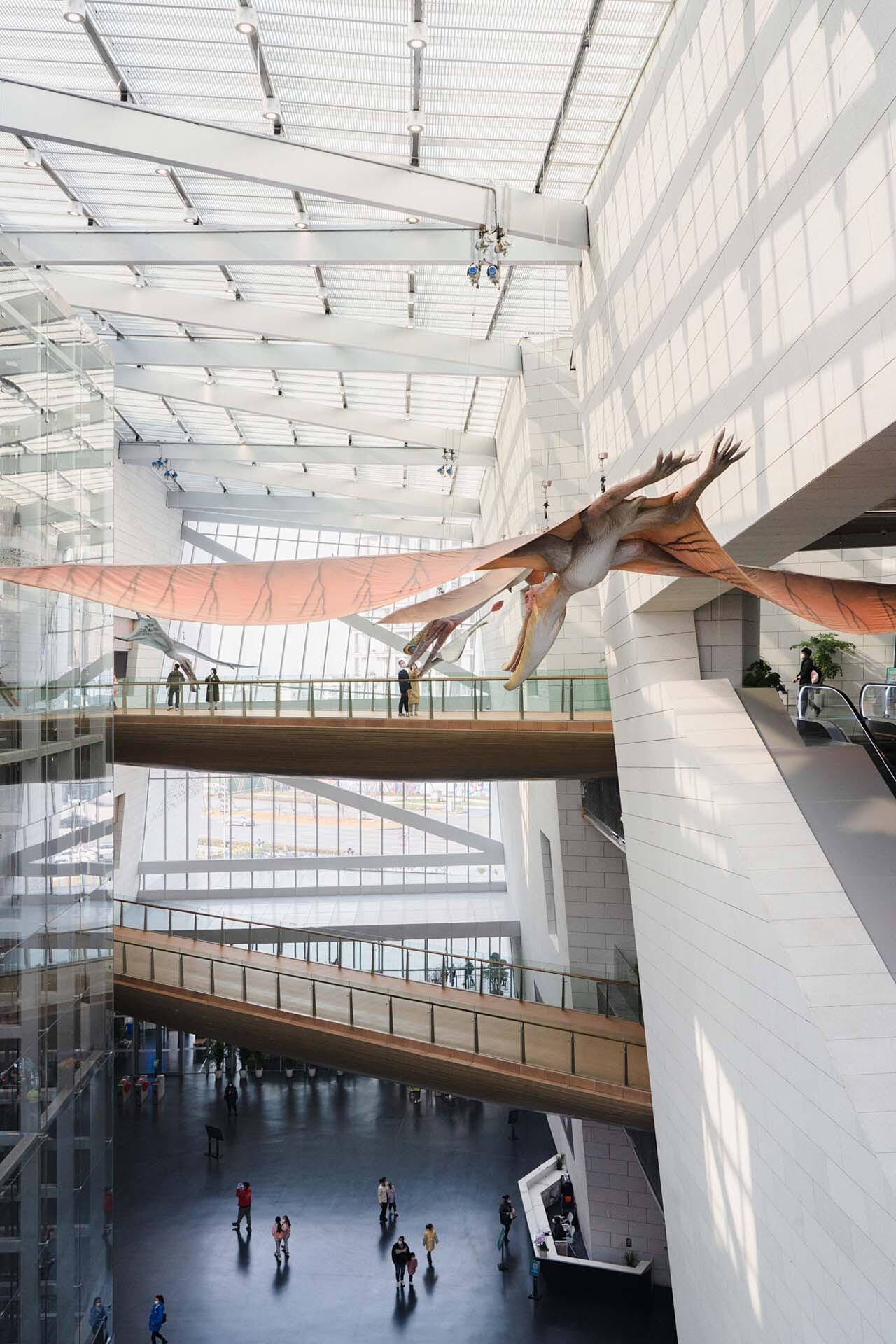 BIM建筑|成都自然博物馆 / Pelli Clarke & Partners + 中国建筑西南设计研究院