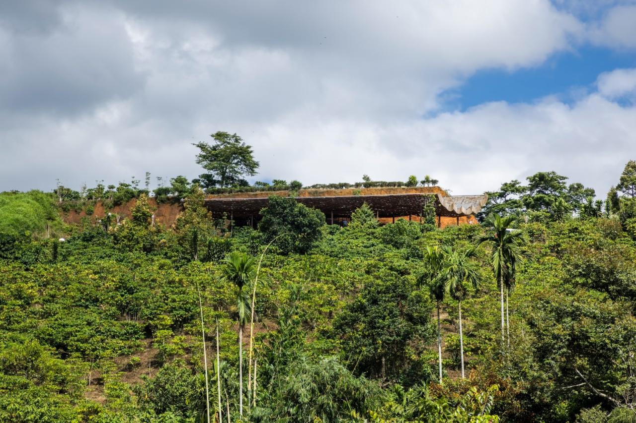 BIM建筑|隐隐看向天空，阮氏咖啡 / The Bloom