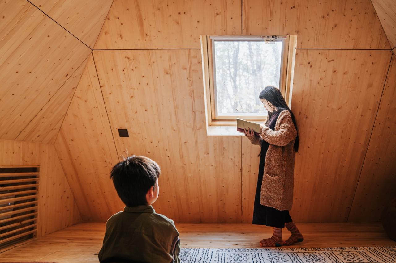 BIM建筑|荒野之家 #96# - 金字塔 / 个个世界 + 先进建筑实验室AaL