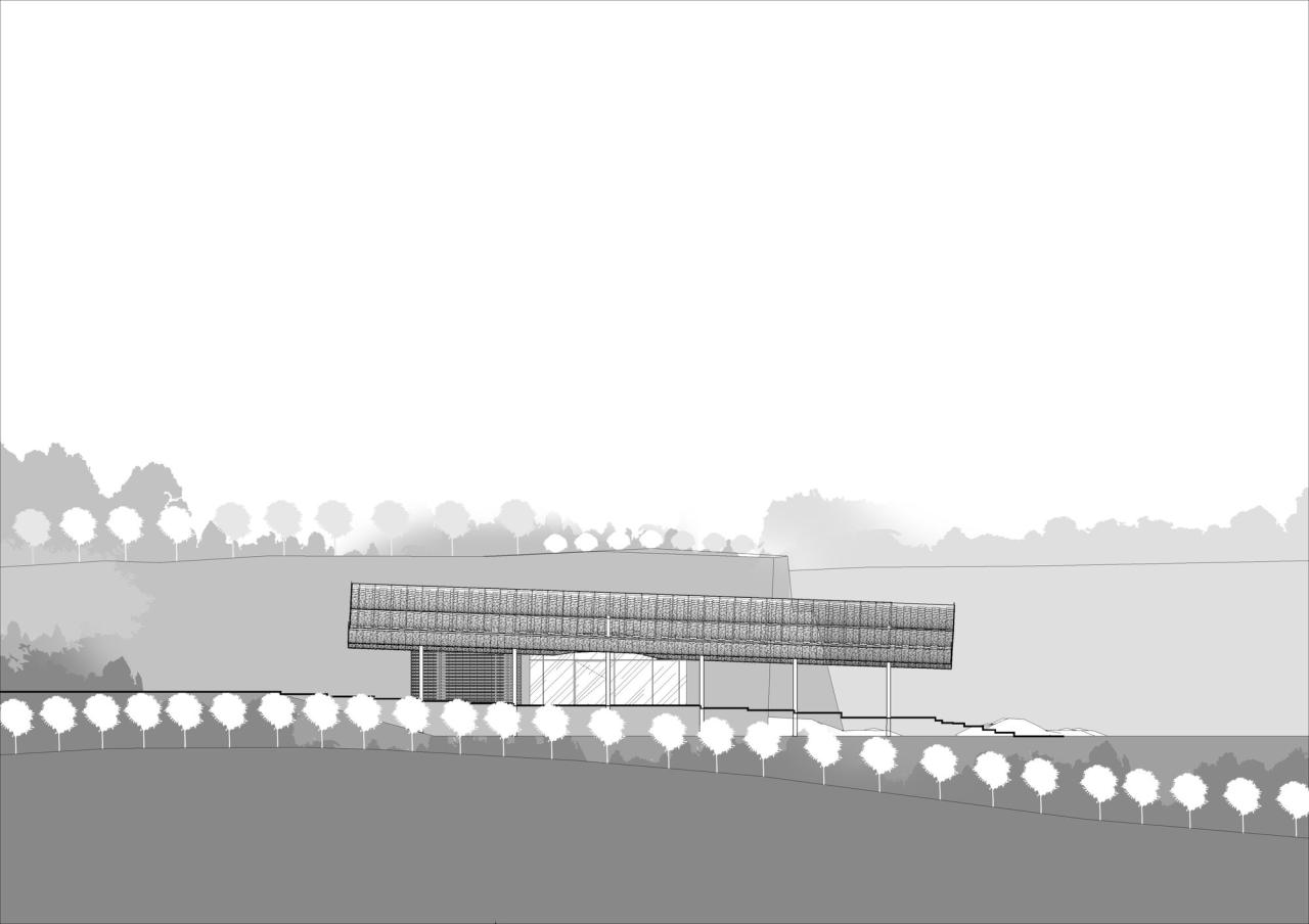 BIM建筑|隐隐看向天空，阮氏咖啡 / The Bloom