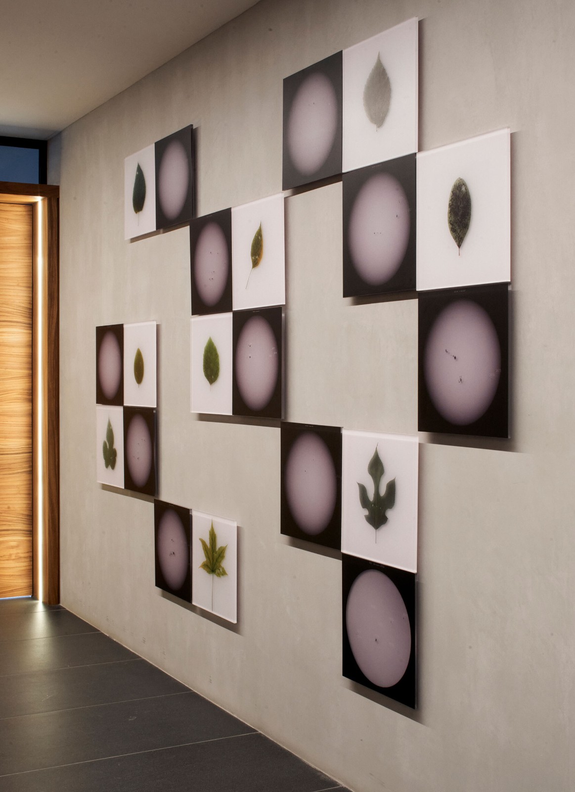 BIM建筑|AEME商业大楼 / Paz Arquitectura