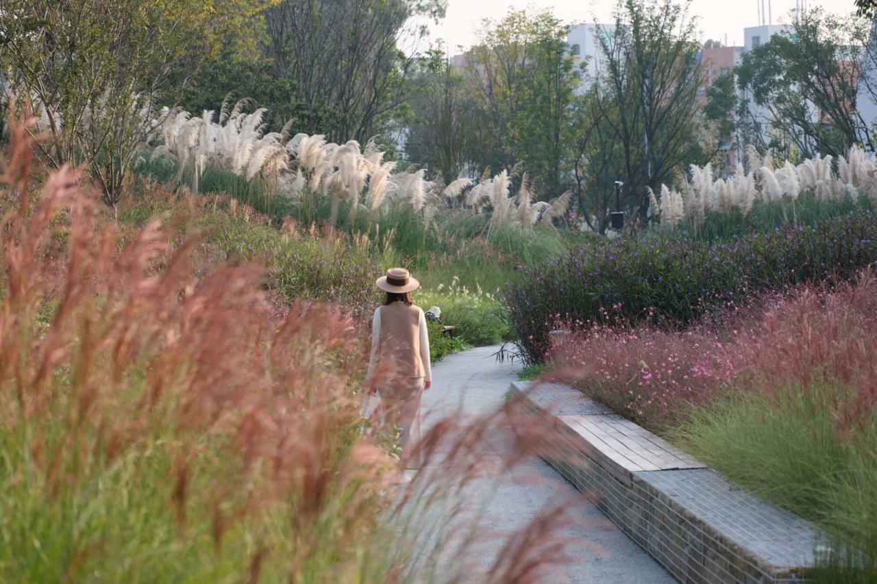 BIM建筑|成都自然博物馆 / Pelli Clarke & Partners + 中国建筑西南设计研究院