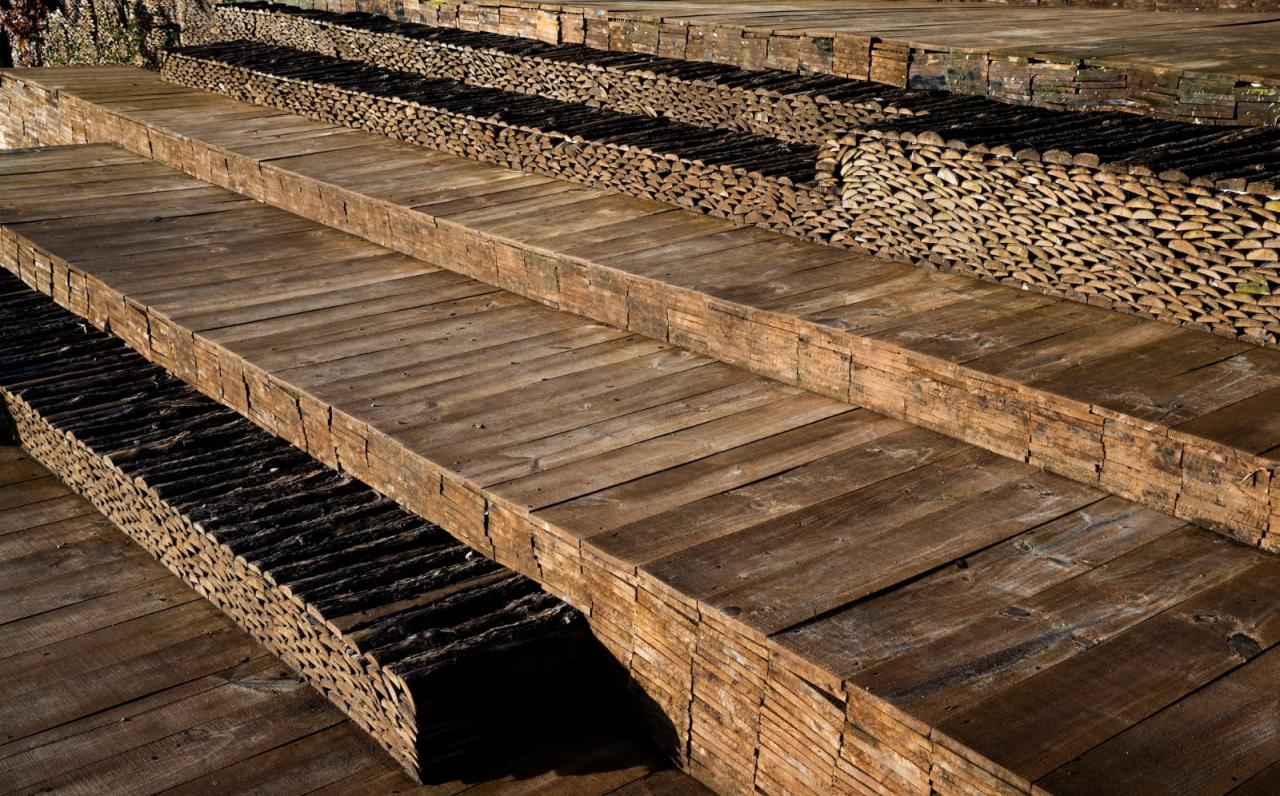 BIM建筑|隐隐看向天空，阮氏咖啡 / The Bloom