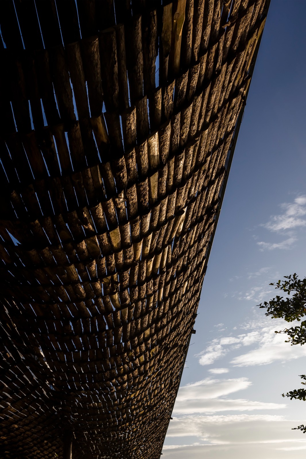 BIM建筑|隐隐看向天空，阮氏咖啡 / The Bloom