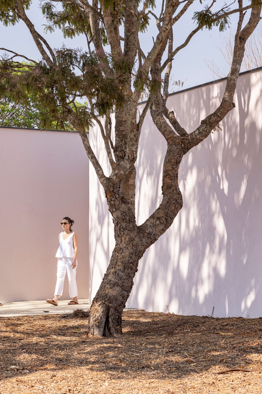 BIM建筑|Cata-vento 住宅 / Equipe Lamas