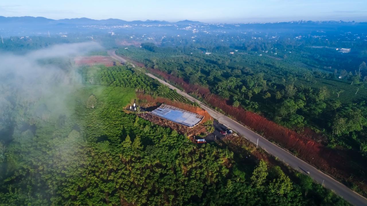 BIM建筑|隐隐看向天空，阮氏咖啡 / The Bloom