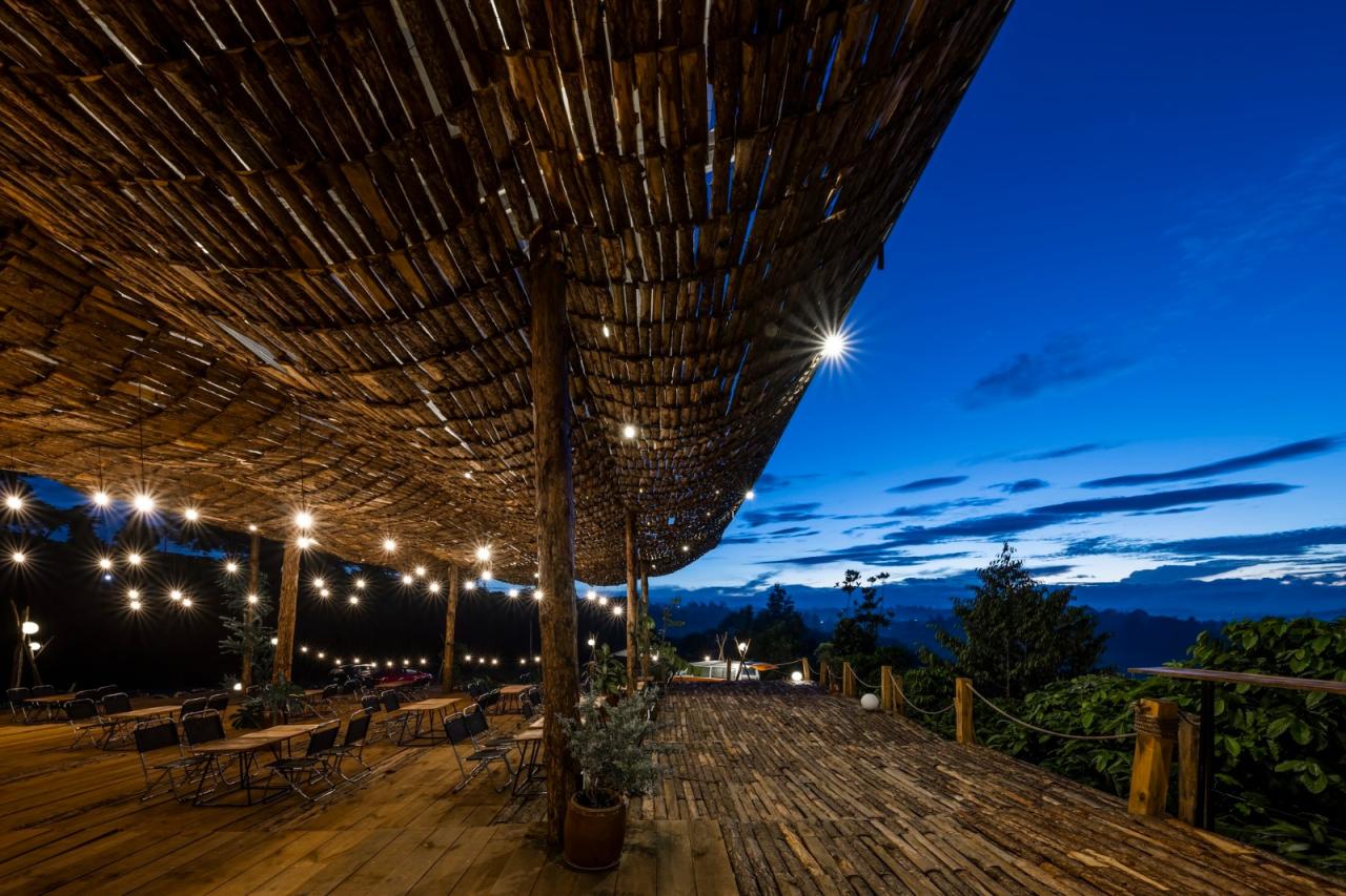 BIM建筑|隐隐看向天空，阮氏咖啡 / The Bloom