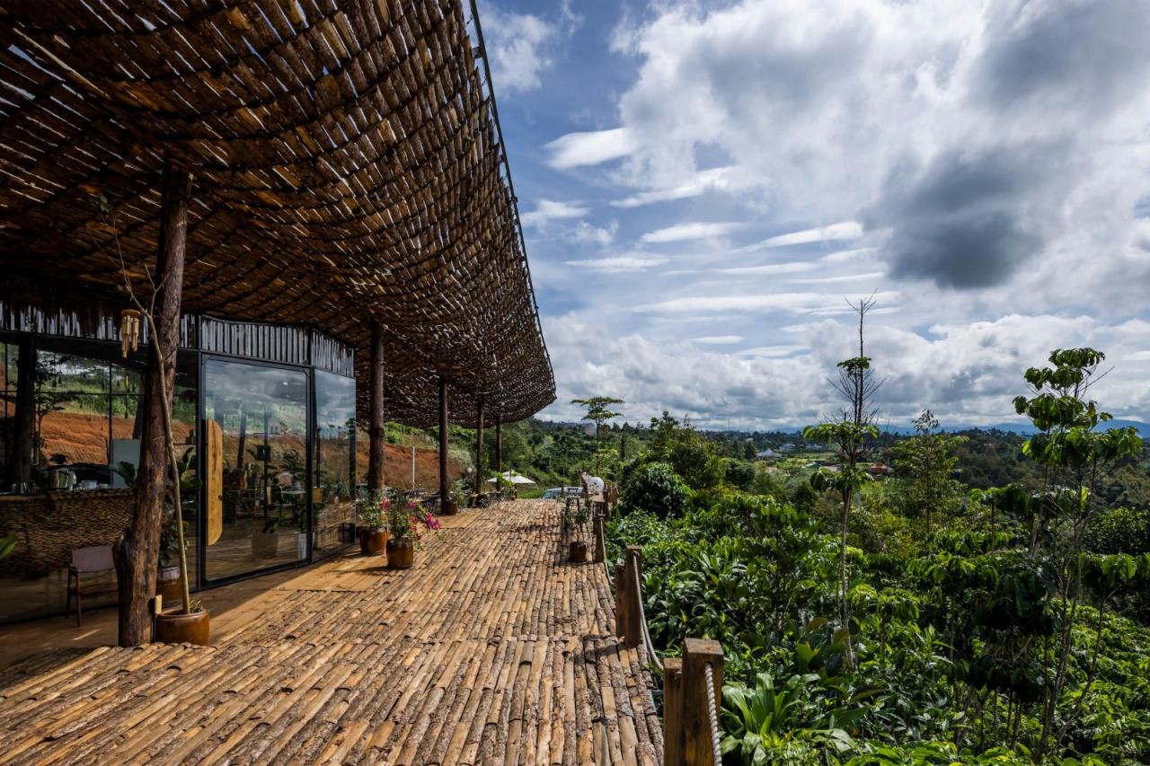 BIM建筑|隐隐看向天空，阮氏咖啡 / The Bloom