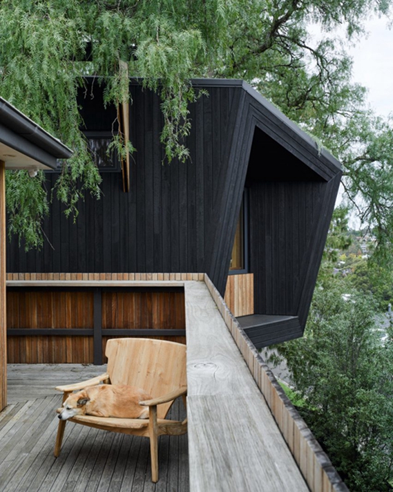 BIM建筑|赛姆斯设计“胡椒树被动住宅”