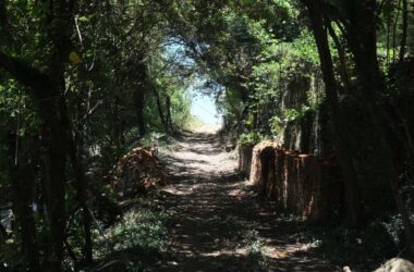 BIM建筑|定海台房 / 久舍营造工作室-BIM建筑网