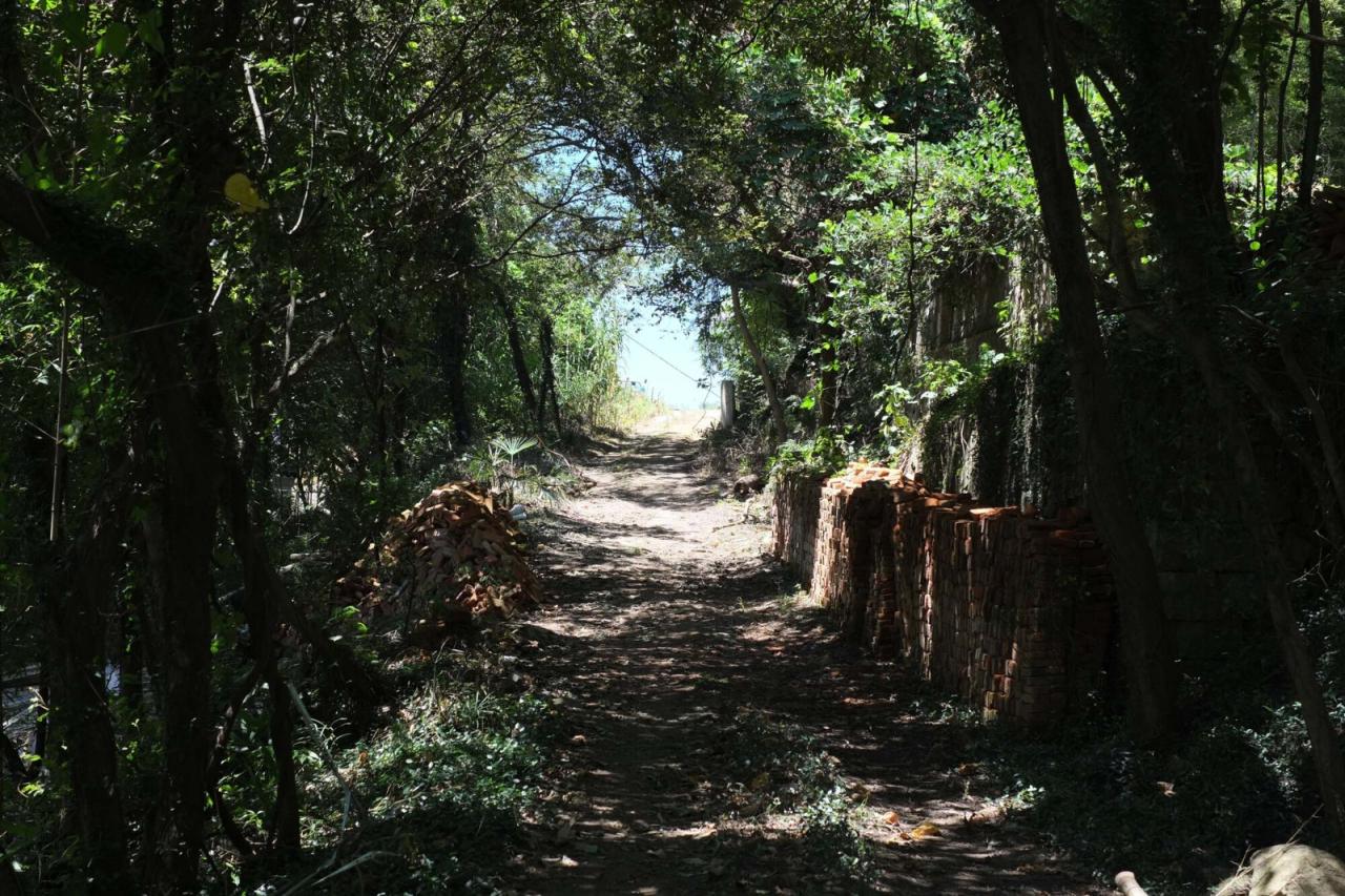 BIM建筑|定海台房 / 久舍营造工作室