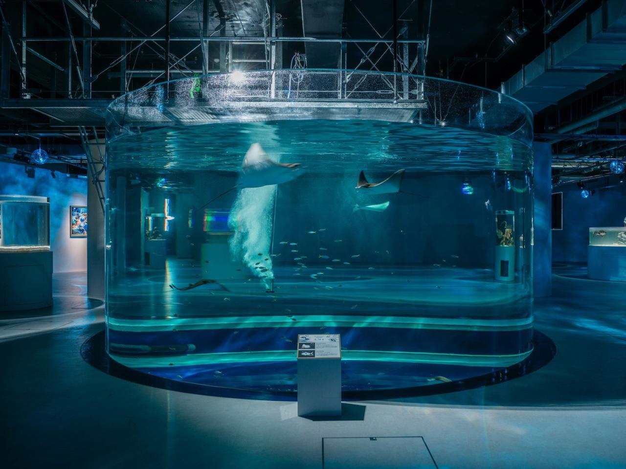 BIM建筑|神户港博物馆，海砂混凝土 / 大成建设