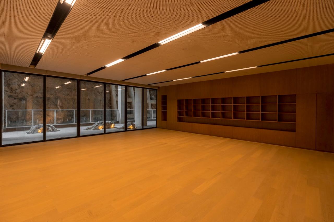 BIM建筑|罗湖未来中小学 / 日比野设计 + 幼儿的城 + 纯粹实践