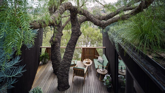 BIM建筑|赛姆斯设计“胡椒树被动住宅”