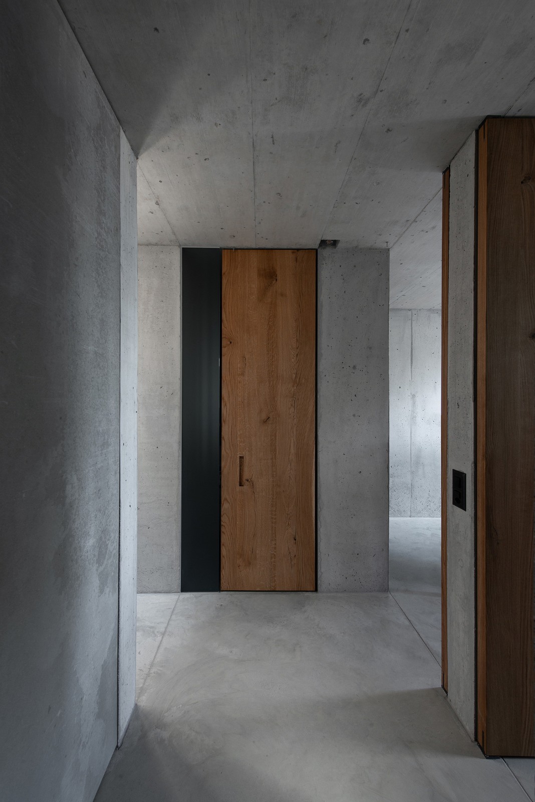 BIM建筑|San Nazzaro 住宅 / Wespi de Meuron Romeo architects