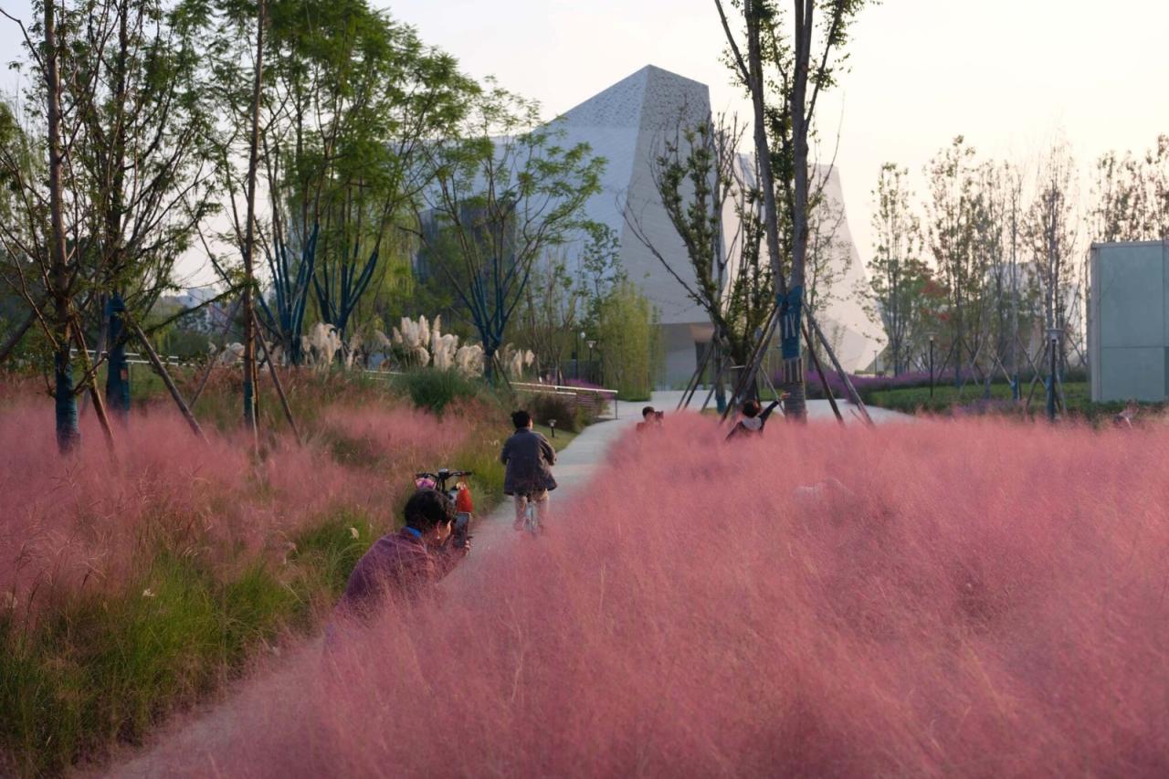 BIM建筑|成都自然博物馆 / Pelli Clarke & Partners + 中国建筑西南设计研究院