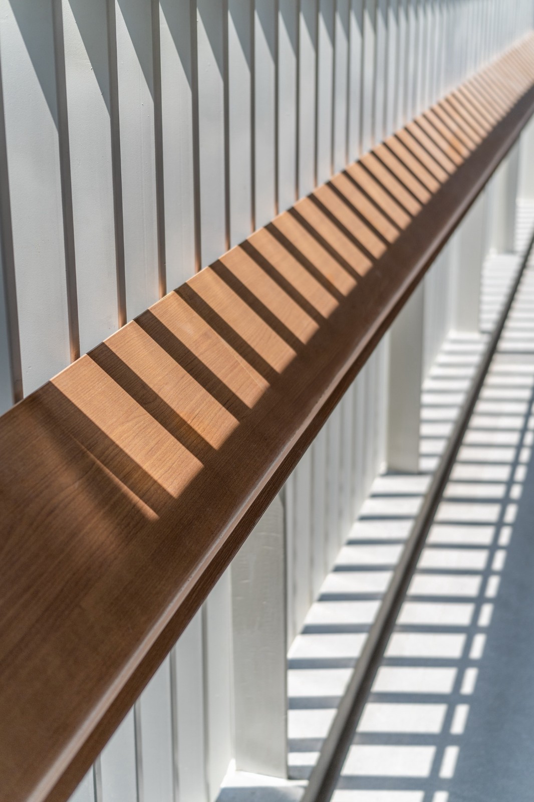 BIM建筑|“山水校园”：深圳市南山区丽林维育学校 / AG汇创