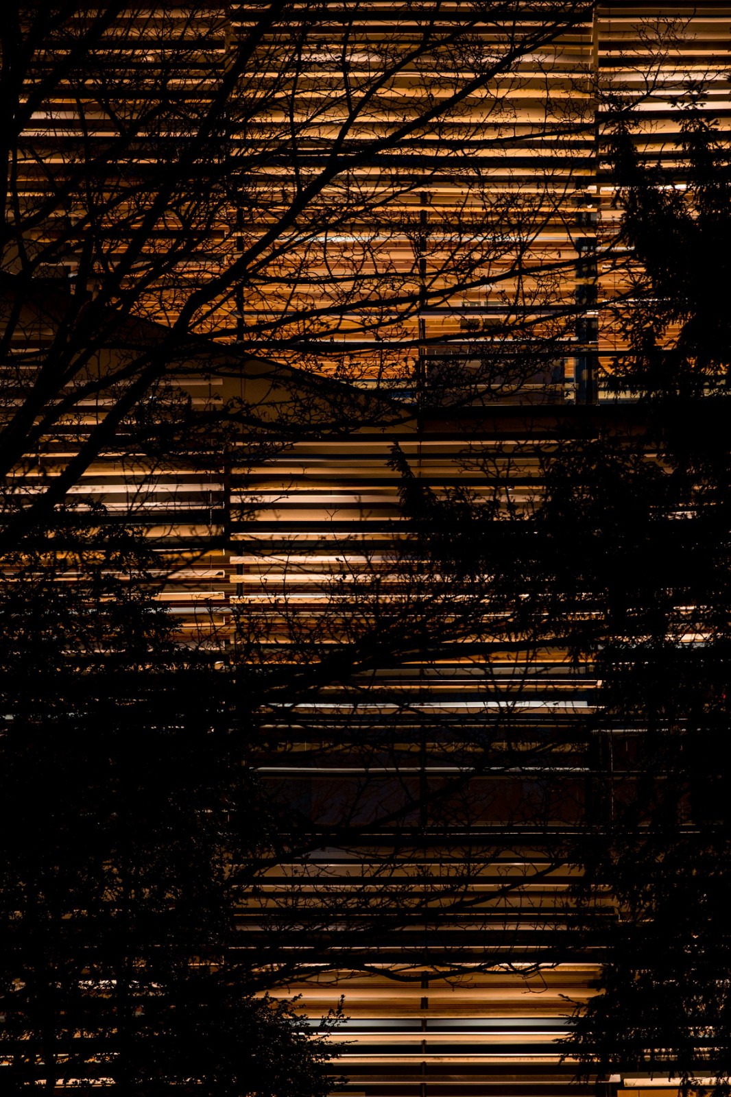 BIM建筑|阿尔伯特·卡恩博物馆 / 隈研吾建筑都市设计事务所