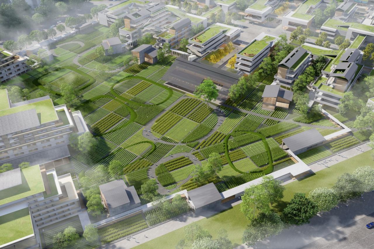 BIM建筑|湾区重点学校方案设计：佛山一中顺德学校 / AG汇创