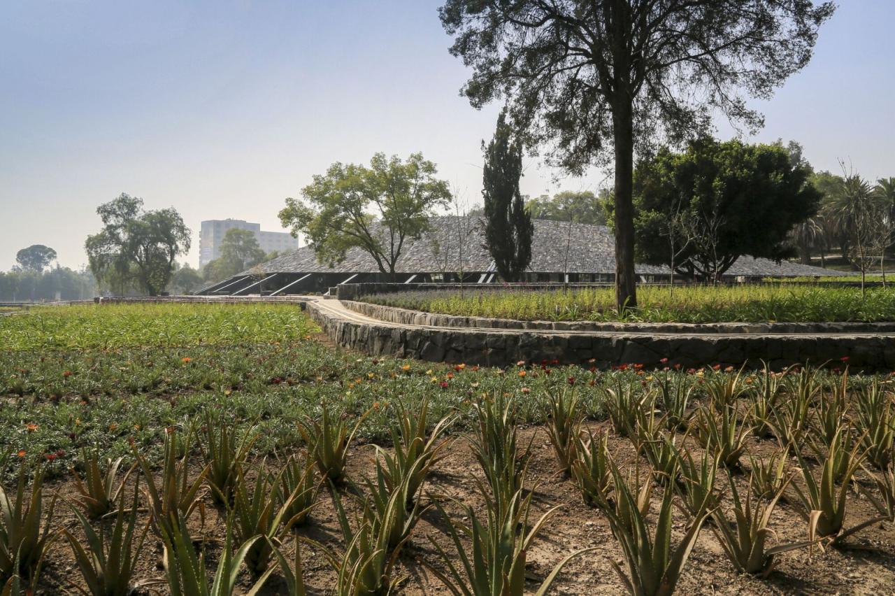 BIM建筑|覆盖在大地上，查普尔特佩克环境文化中心 / ERREqERRE Arquitectura y Urbanismo + Taller ID