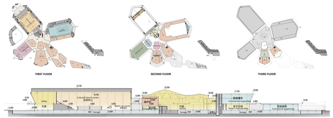 BIM建筑|体育运动催化城市生活：桐乡市全民健身中心暨李宁体育园 / PTD柏涛设计