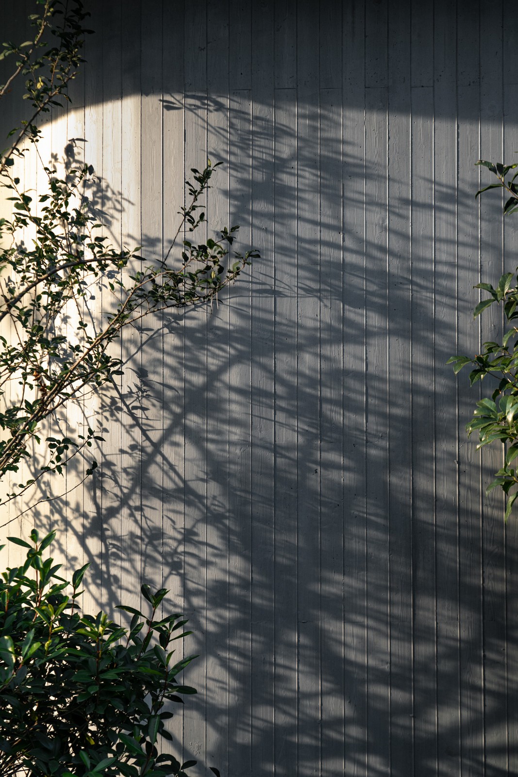 BIM建筑|对话童心，天性乐园：杭州江南实验学校教育集团江晖小学 / 浙江大学建筑设计研究院