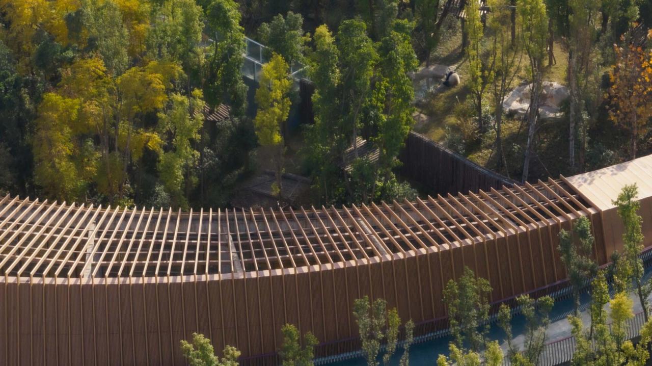 BIM建筑|成都熊猫新舍: 溪谷林壑间的自然栖居 / EID Arch姜平工作室