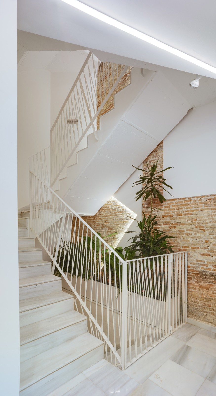 BIM建筑|Baltasar 大楼改造项目 / Santa-Cruz Arquitectura