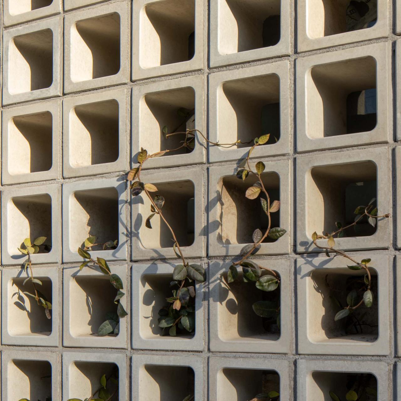 BIM建筑|福邸仓库改造 / say architects