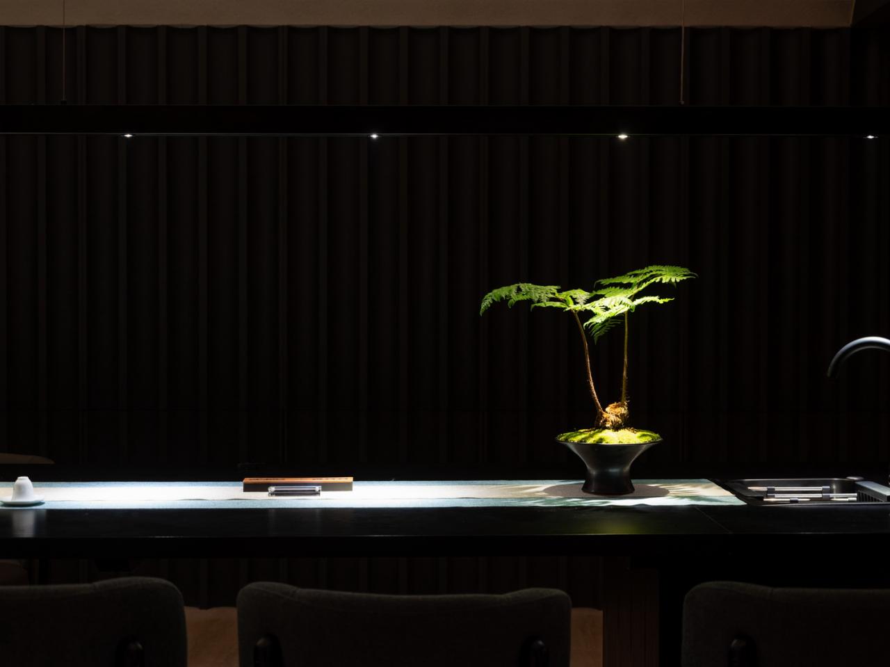 BIM建筑|身体与精神的疗愈：指沐-水印spa / 元秀万建筑事务所