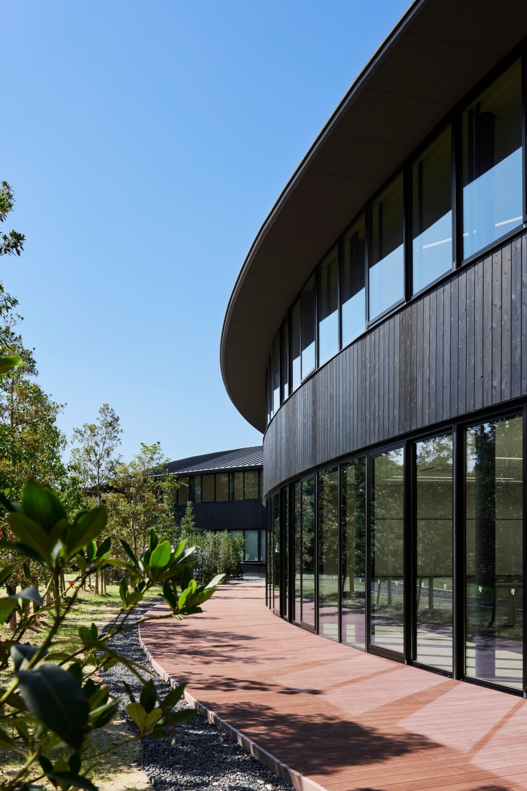 BIM建筑|爱光学园 / 大成建设