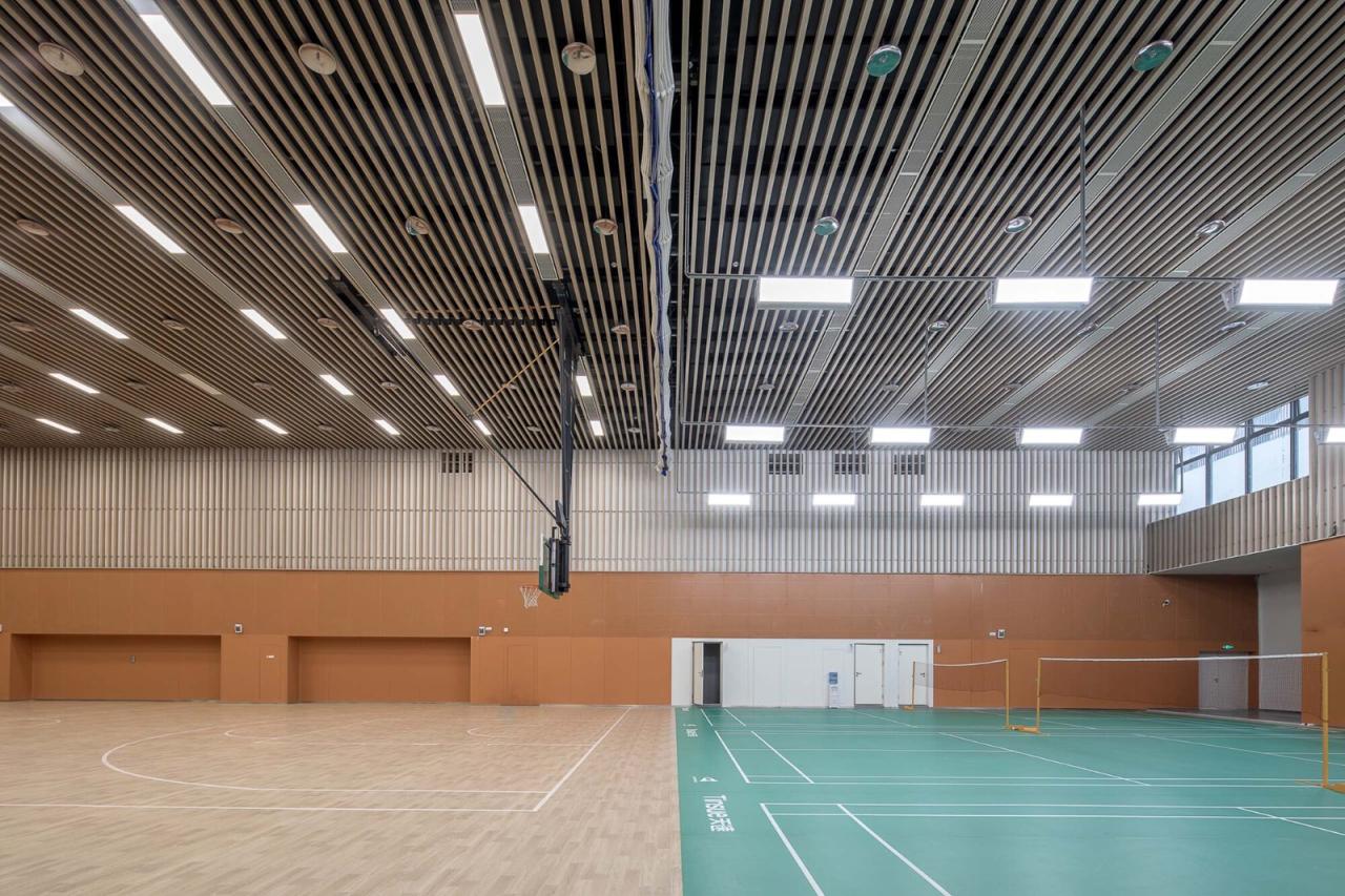 BIM建筑|桃园小学 / 立方建筑设计