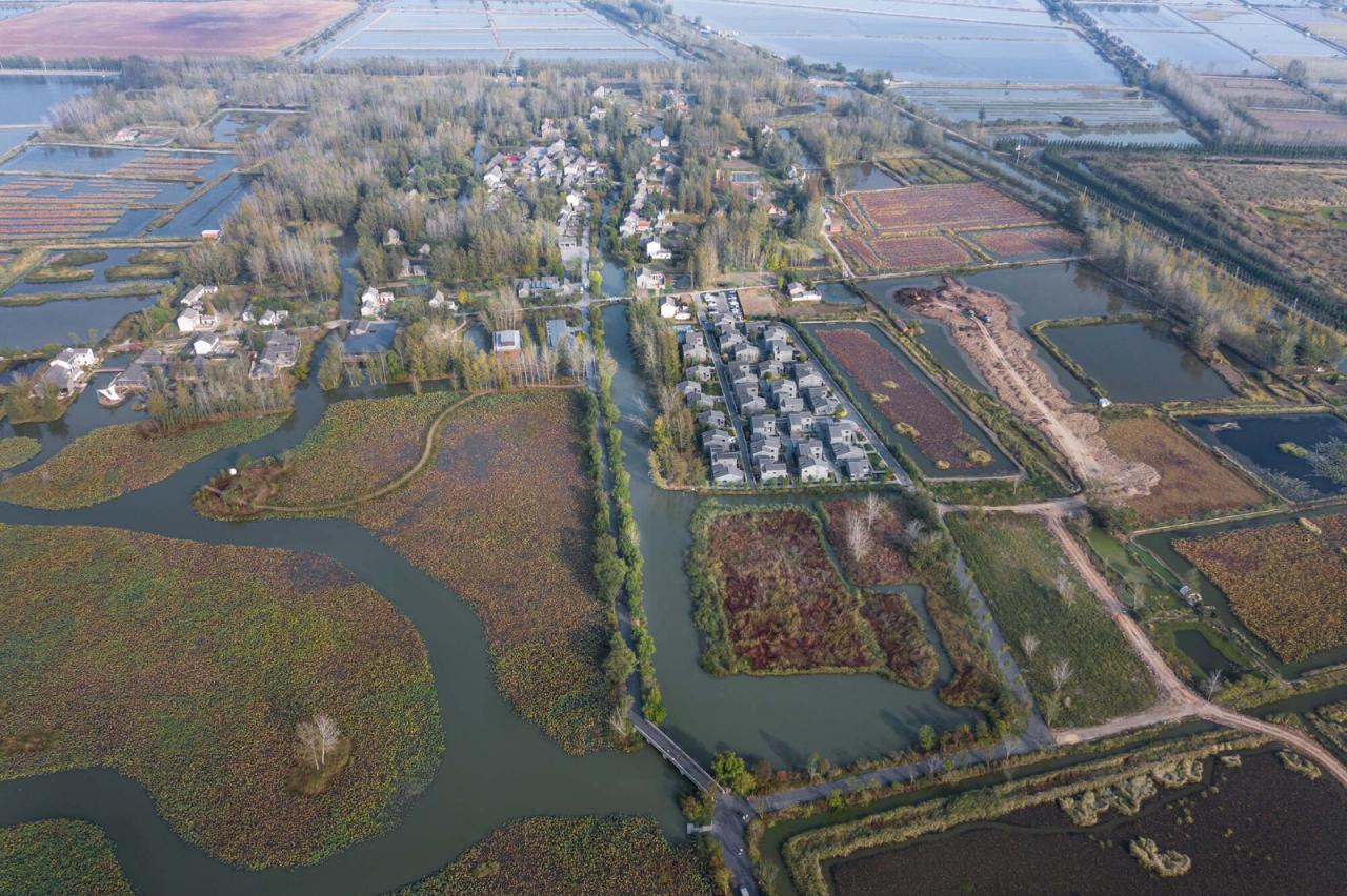 BIM建筑|阜宁县益林镇穆沟村新型社区 / 南大设计院周凌工作室