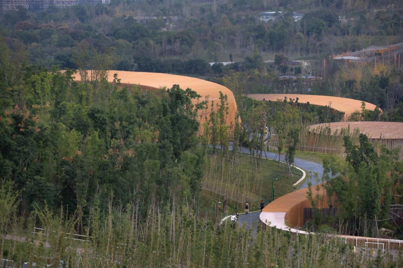 BIM建筑|成都熊猫新舍: 溪谷林壑间的自然栖居 / EID Arch姜平工作室
