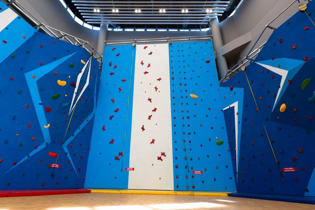 BIM建筑|体育运动催化城市生活：桐乡市全民健身中心暨李宁体育园 / PTD柏涛设计