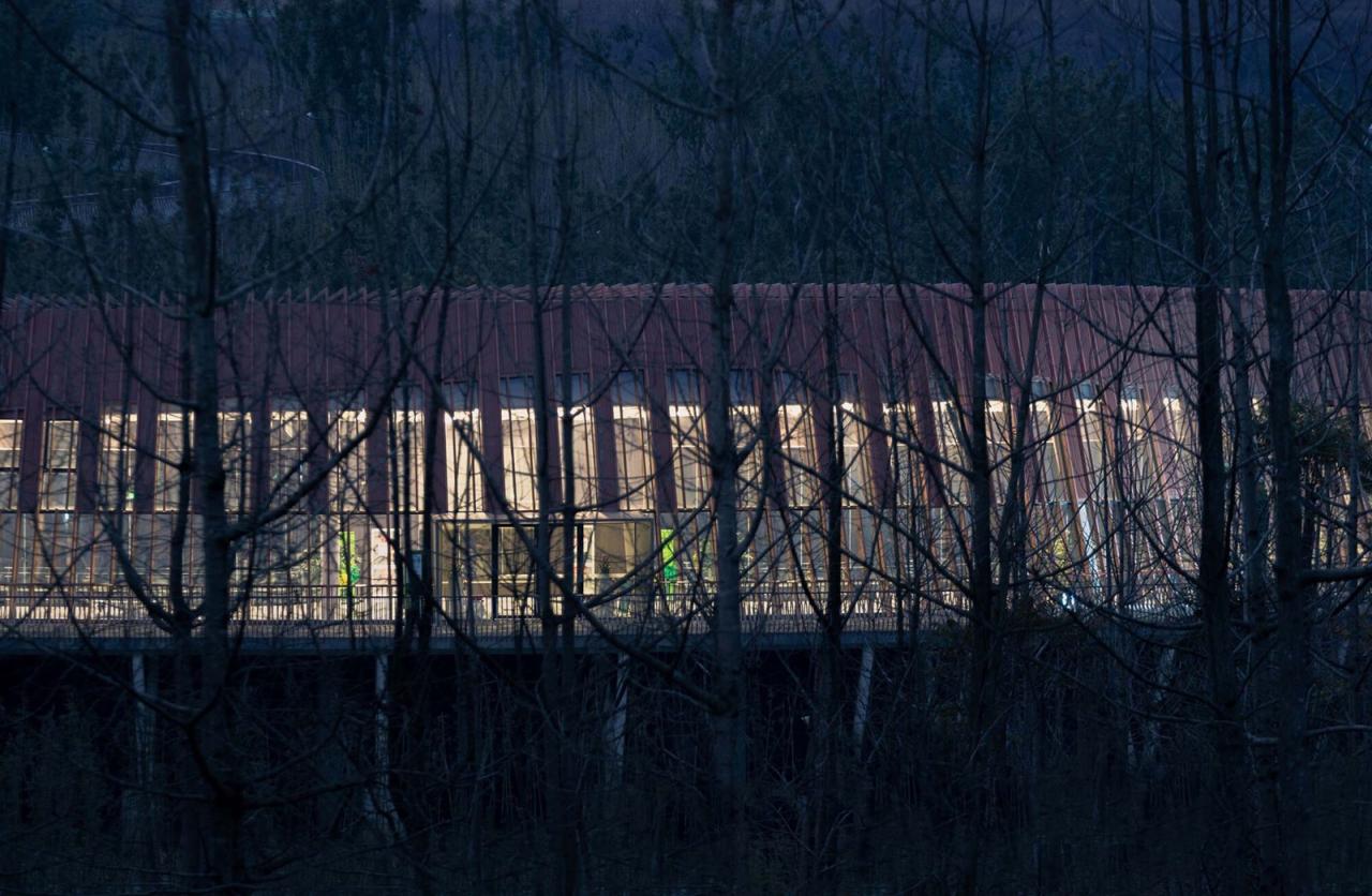 BIM建筑|成都熊猫新舍: 溪谷林壑间的自然栖居 / EID Arch姜平工作室