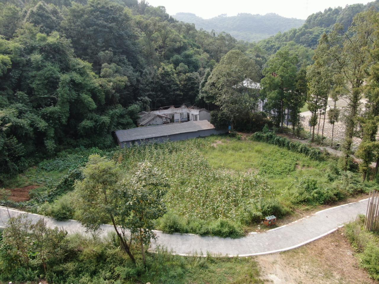 BIM建筑|竹文化的意象解读：崇州·竹艺村游客中心 / 小隐建筑