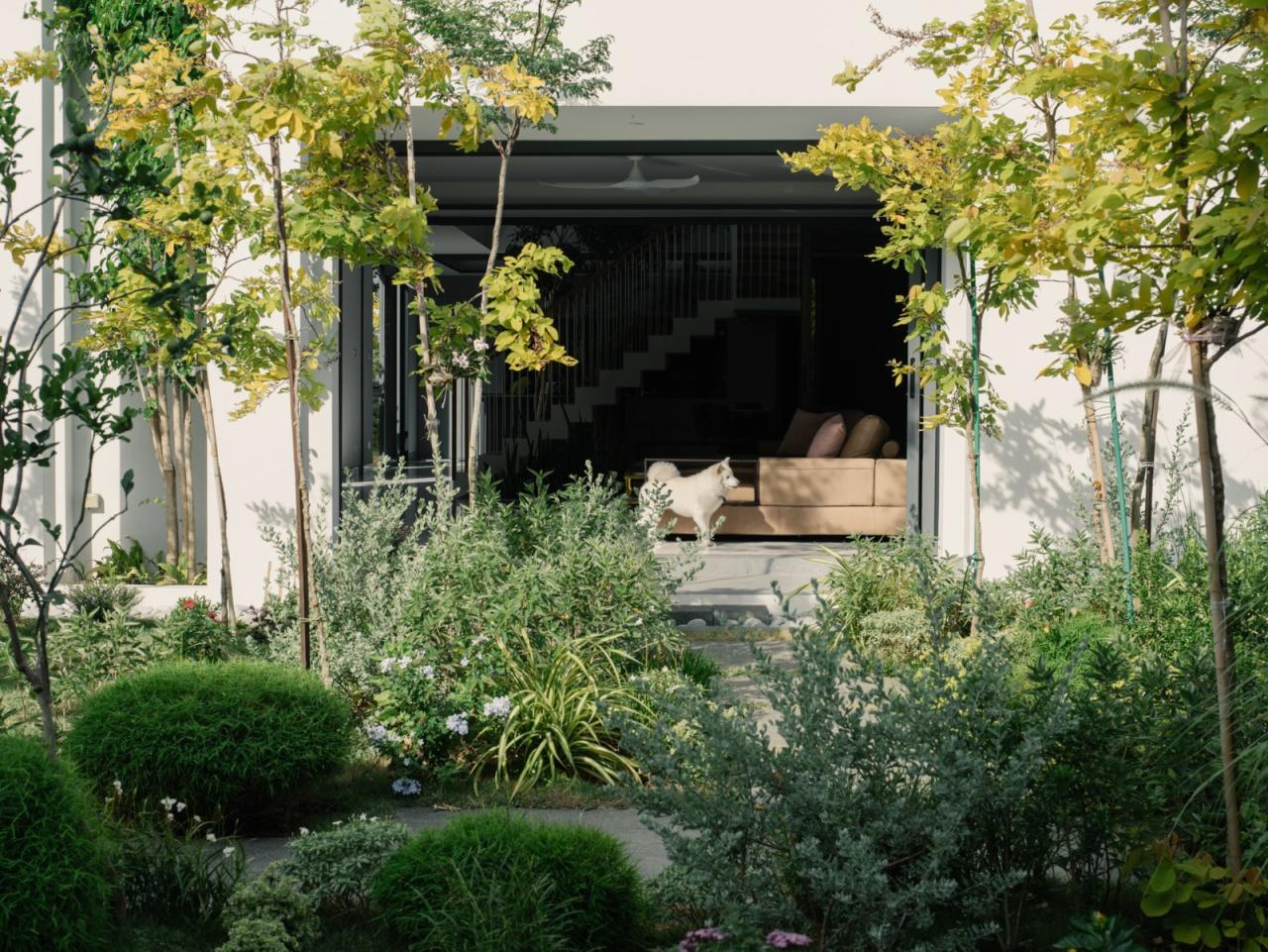 BIM建筑|围屋 / Asolidplan