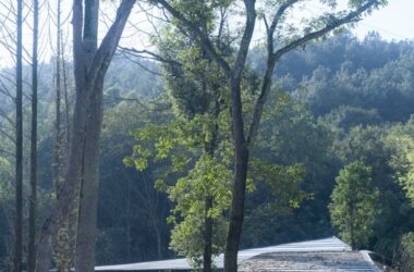 BIM建筑|竹文化的意象解读：崇州·竹艺村游客中心 / 小隐建筑-BIM建筑网