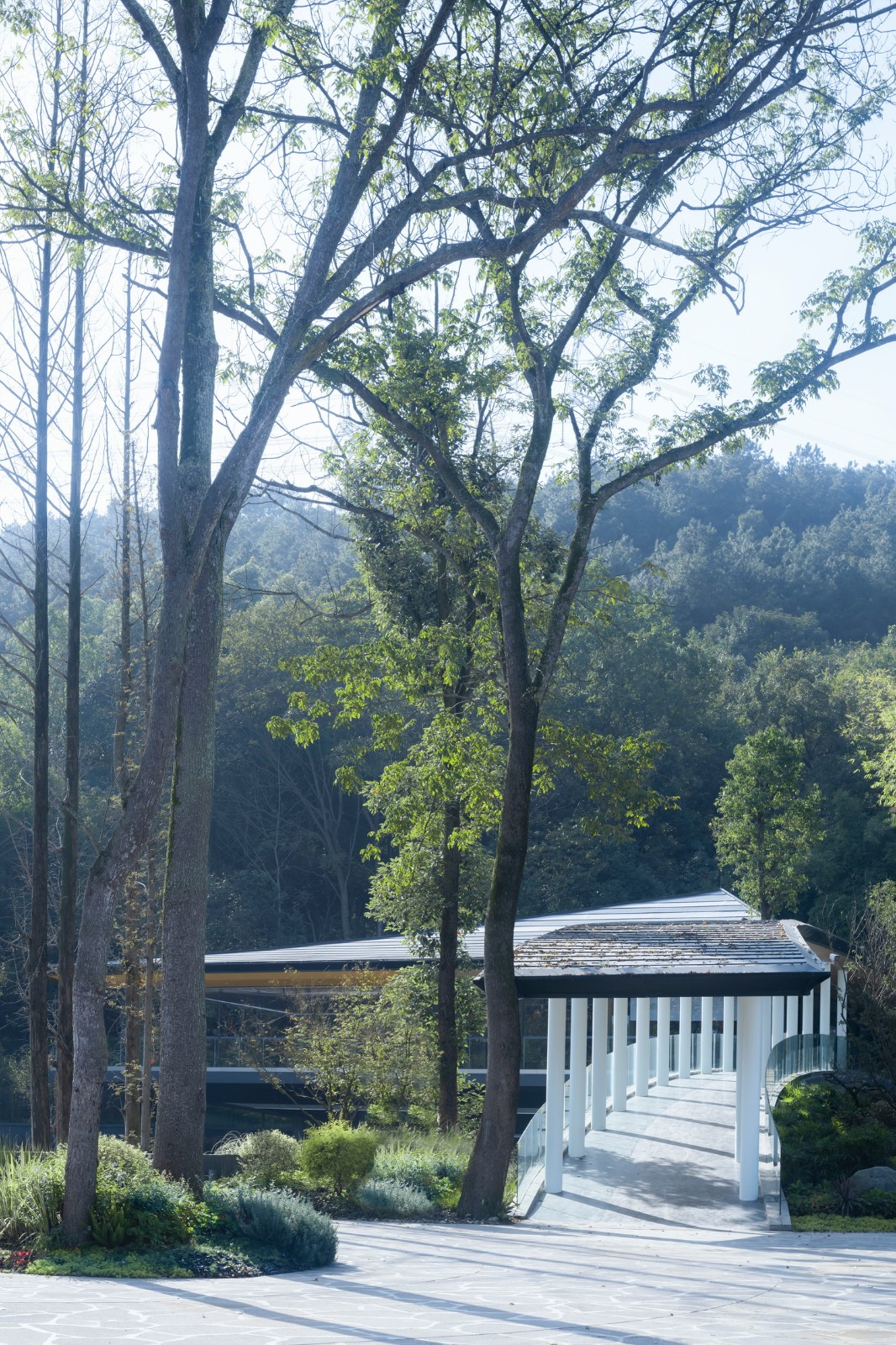 BIM建筑|竹文化的意象解读：崇州·竹艺村游客中心 / 小隐建筑