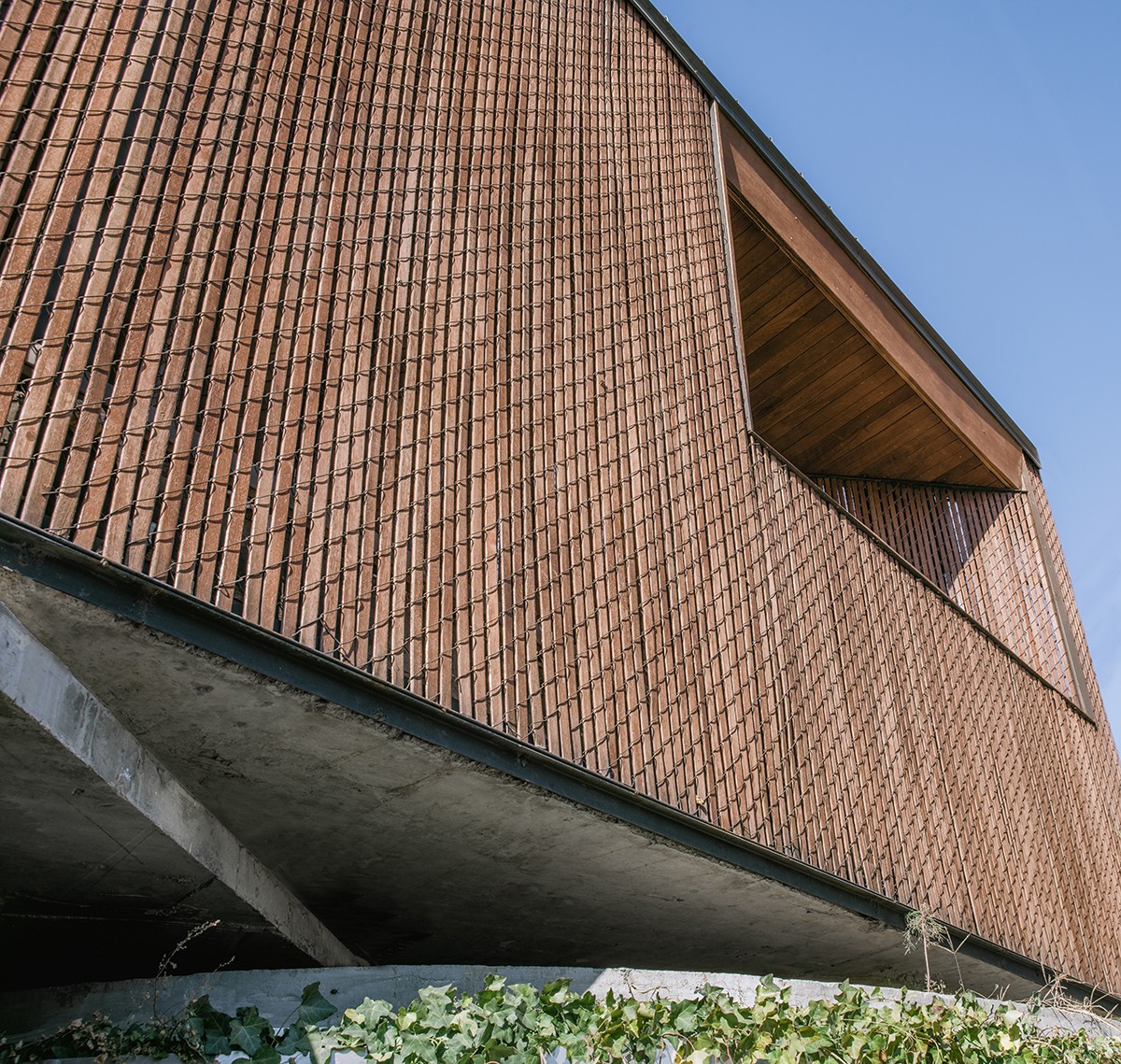 BIM建筑|小喜民宿：混乱是阶梯 / 大料建筑