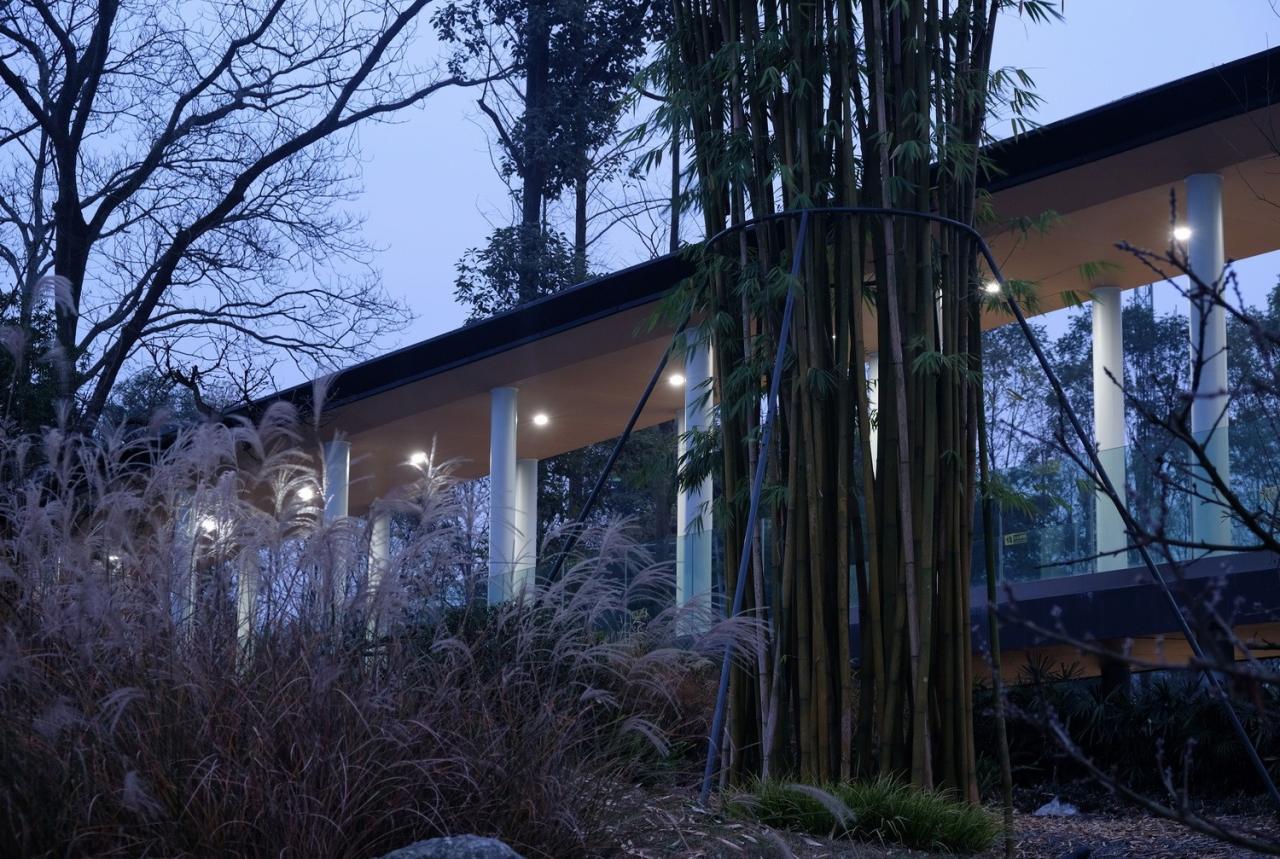 BIM建筑|竹文化的意象解读：崇州·竹艺村游客中心 / 小隐建筑