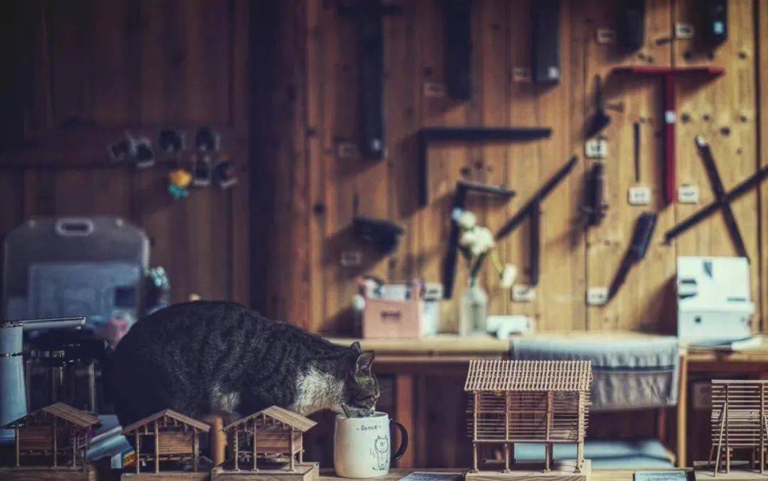 BIM建筑|归柳杨宅 / 無名营造社建筑事务所