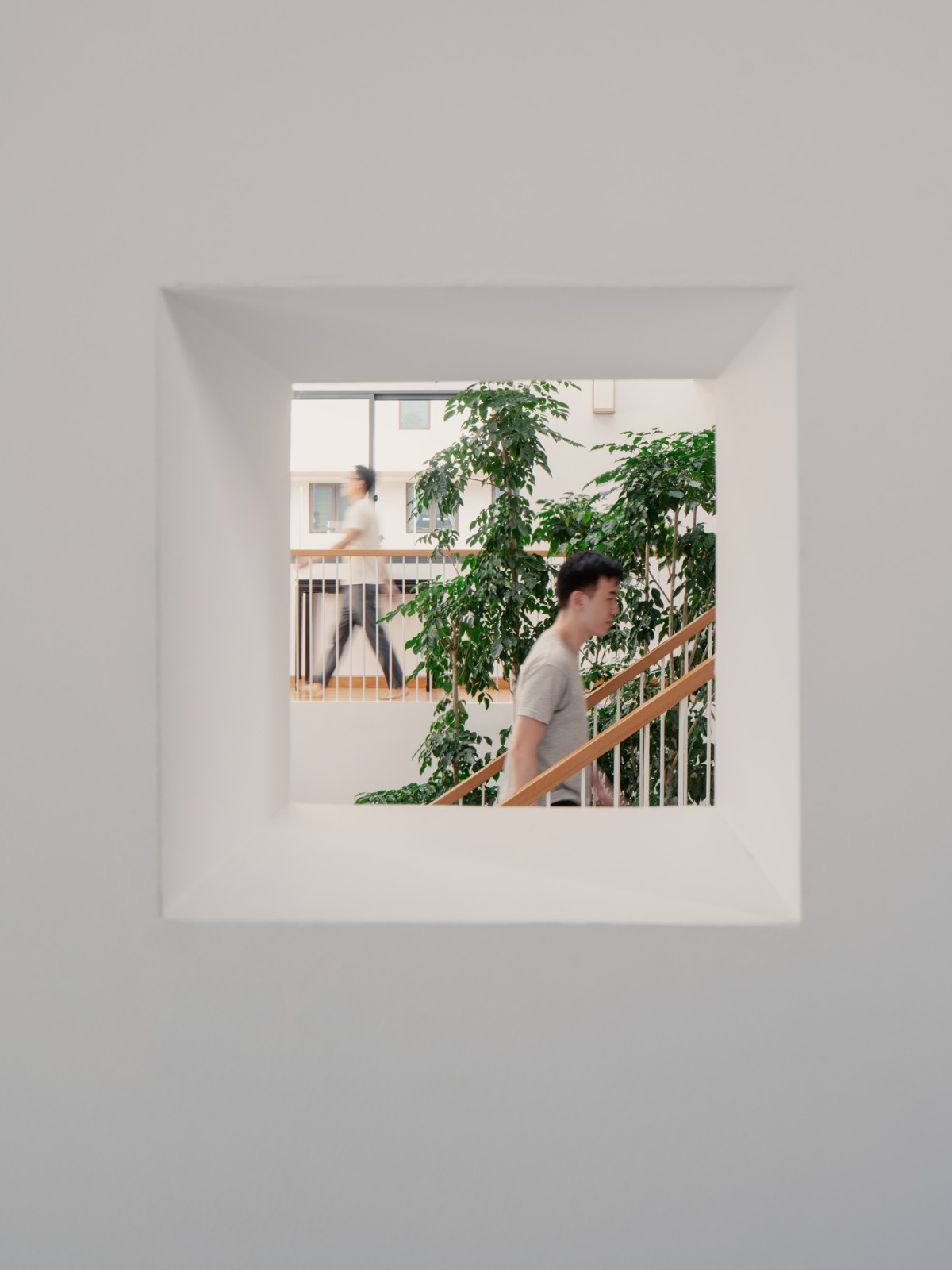 BIM建筑|围屋 / Asolidplan