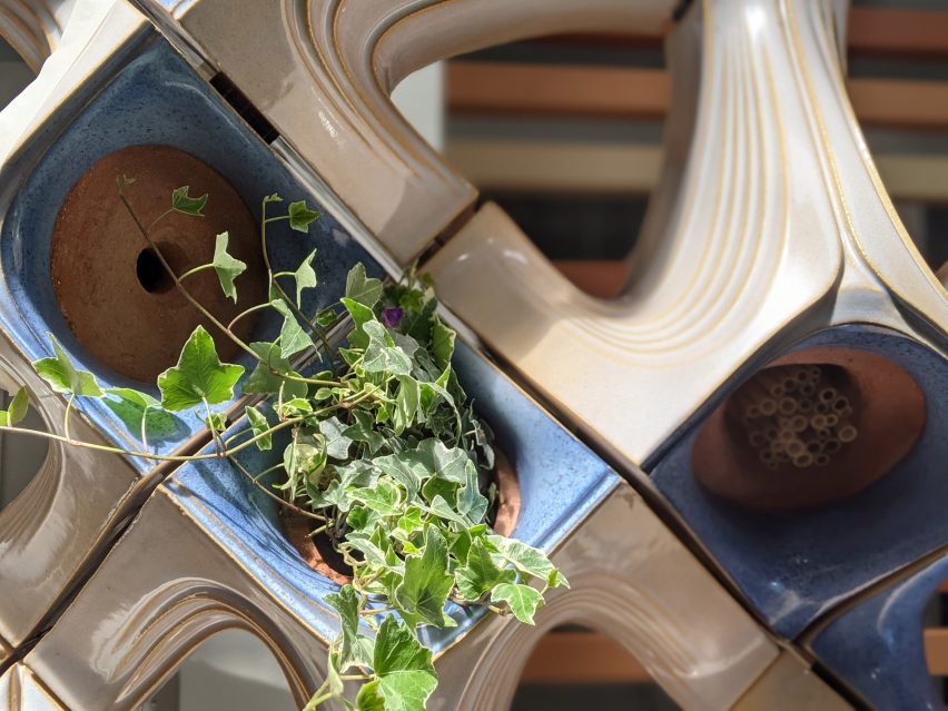 BIM建筑|英美建筑公司为鸟类和昆虫开发生活立面