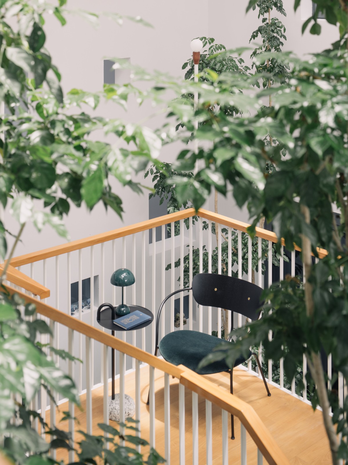 BIM建筑|围屋 / Asolidplan