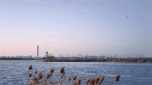 BIM建筑|泊船与人烟，曲水善湾船坞民宿 / goa大象设计