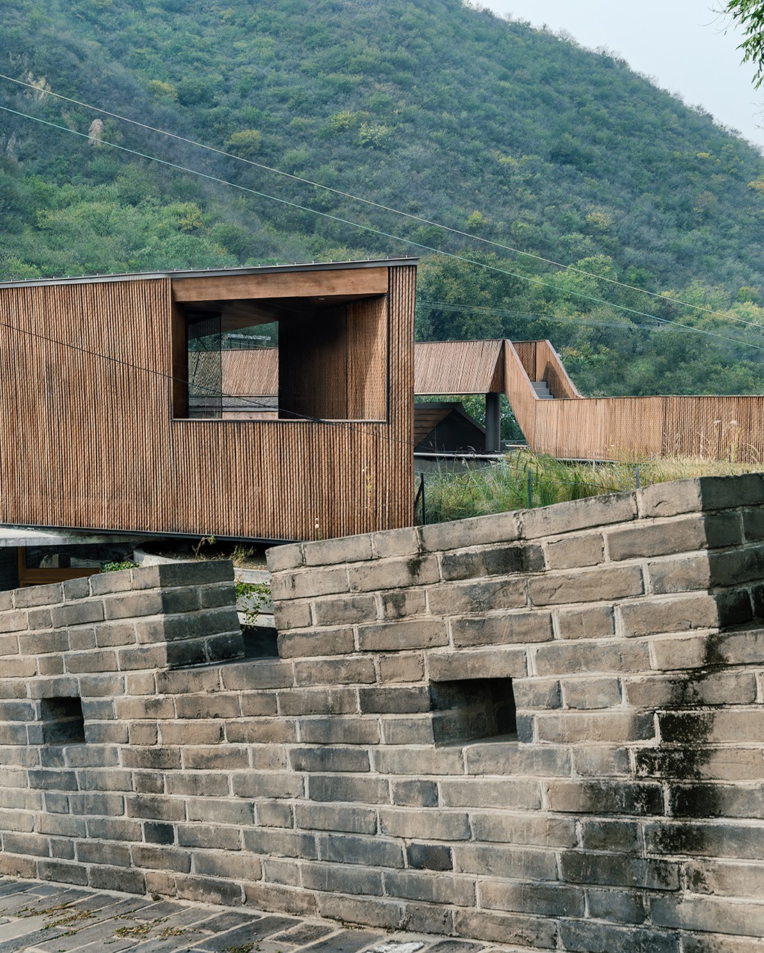 BIM建筑|小喜民宿：混乱是阶梯 / 大料建筑